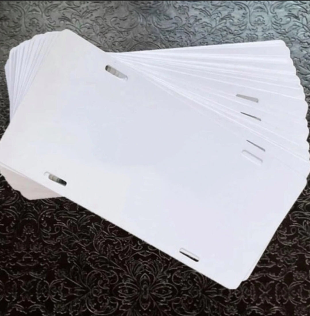 Car license plate-blank